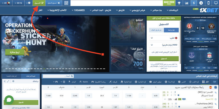 في النموذج الذي تقدمه النظام، ينبغي تحديد طريقة التسجيل المفضلة – رقم الهاتف المحمول أو البريد الإلكتروني.